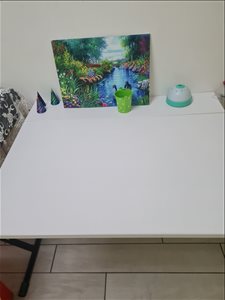 שולחן מתקפל מאיקאה 