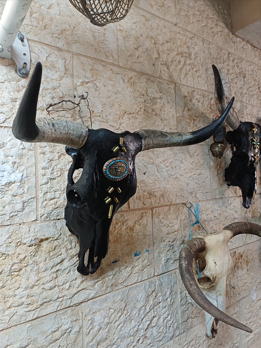 תמונה 1, ראשי פר מעוצבים למכירה ברמלה | אומנות  פוחלצים