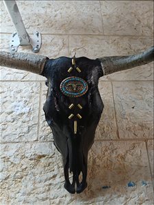 אומנות פוחלצים 20 