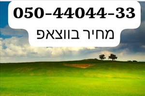 סלולרי מספרי זהב 25 