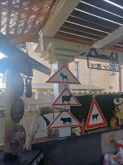 תמונה 7 ,ראש פר למכירה ברמלה אומנות  פוחלצים