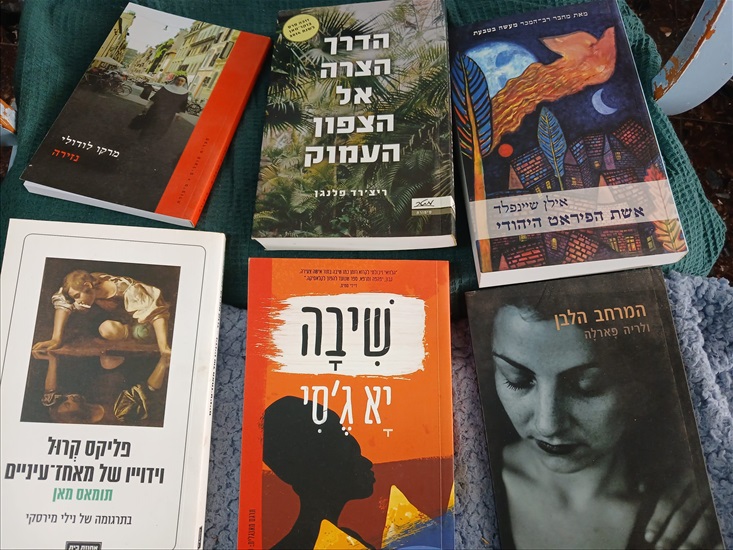 תמונה 5 ,250+ ספרים במצב נהדר למכירה ברמת גן ספרות ומאמרים  סיפרות
