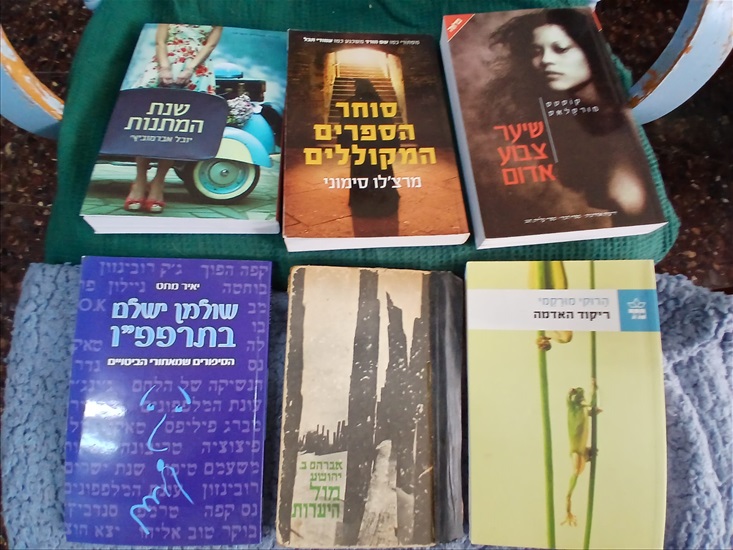 תמונה 3 ,250+ ספרים במצב נהדר למכירה ברמת גן ספרות ומאמרים  סיפרות