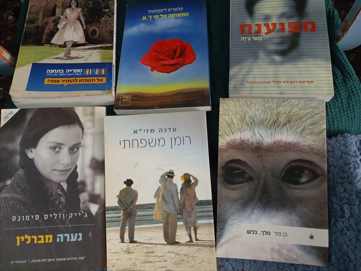 תמונה 7 ,250+ ספרים במצב נהדר למכירה ברמת גן ספרות ומאמרים  סיפרות