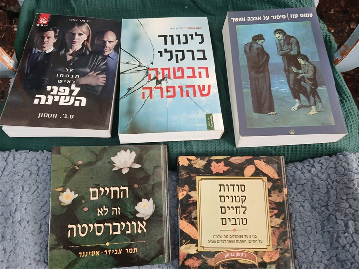 תמונה 8 ,250+ ספרים במצב נהדר למכירה ברמת גן ספרות ומאמרים  סיפרות