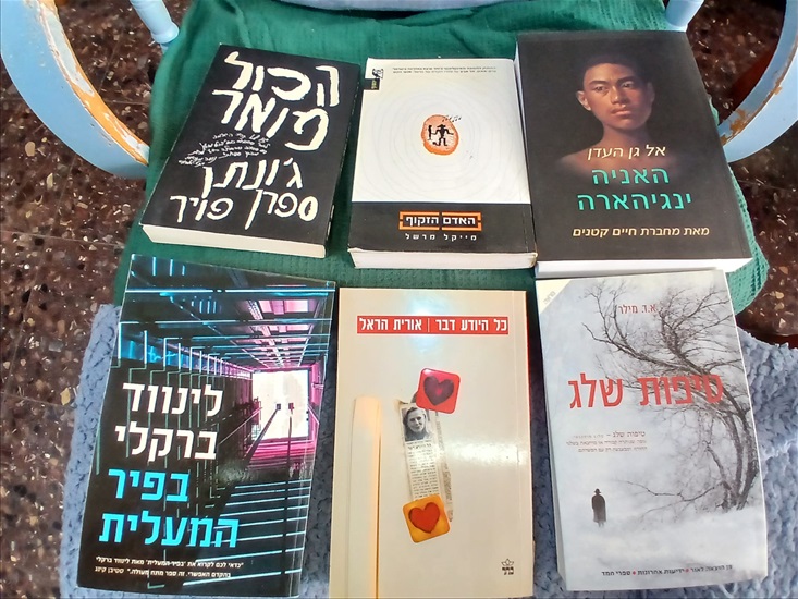 תמונה 11 ,250+ ספרים במצב נהדר למכירה ברמת גן ספרות ומאמרים  סיפרות