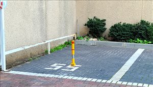 שונות שונות 1 