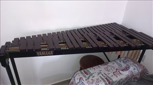 כלי נגינה כלי הקשה 19 