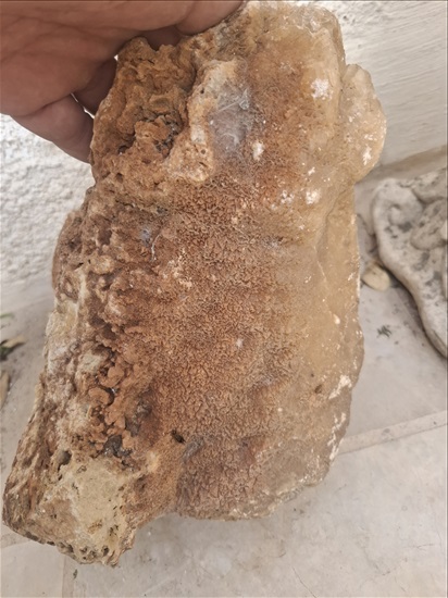 תמונה 5 ,סלע טבעי למכירה בבית אריה אספנות  פריטים ארכיאולוגים