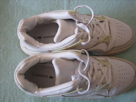 תמונה 3 ,נעלי הסניקרס LACOSTE למכירה בקרית מוצקין ביגוד ואביזרים  נעלי ספורט