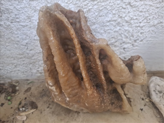 תמונה 9 ,סלע טבעי למכירה בבית אריה אספנות  פריטים ארכיאולוגים