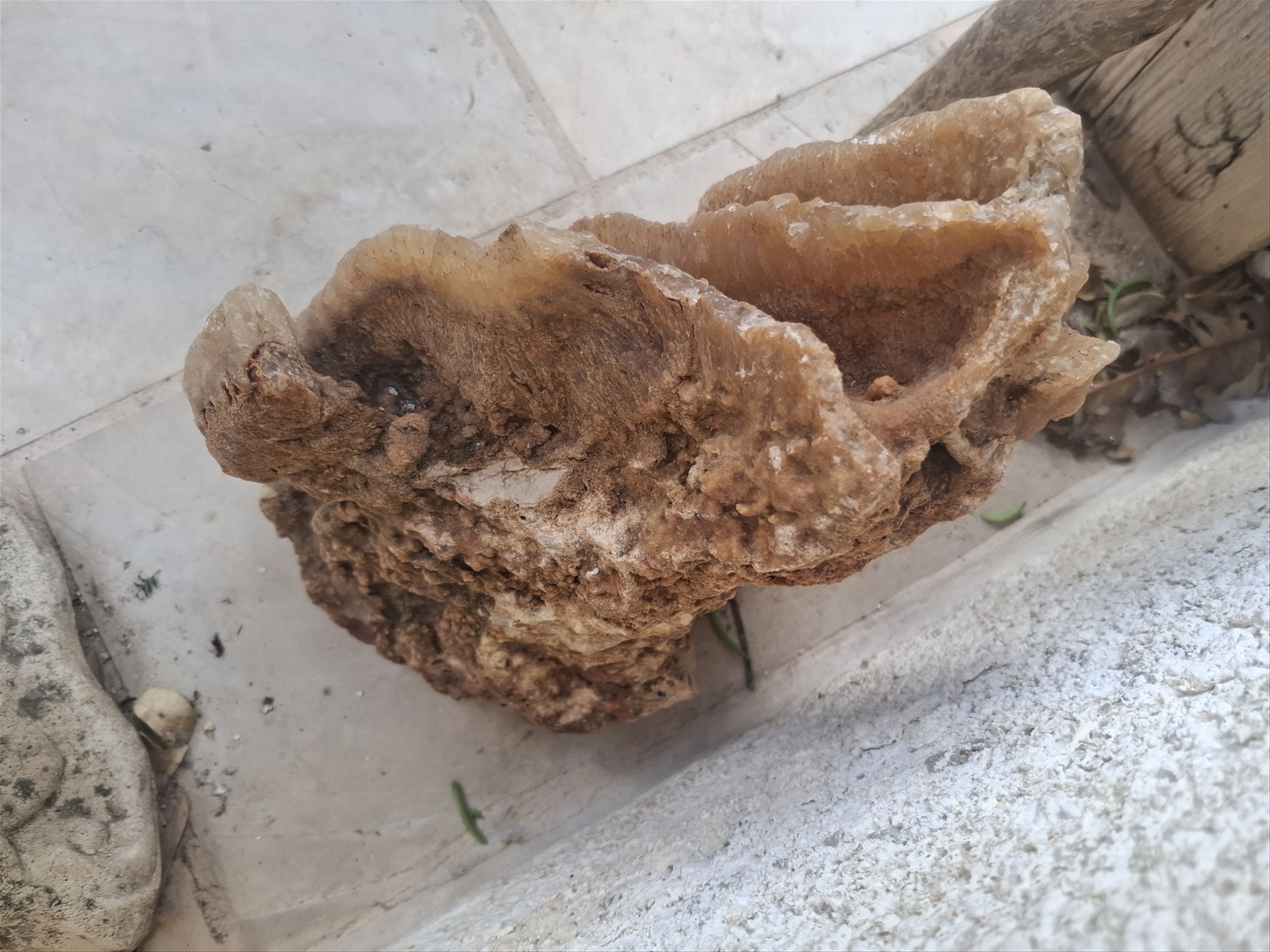 תמונה 4, סלע טבעי למכירה בבית אריה | אספנות  פריטים ארכיאולוגים