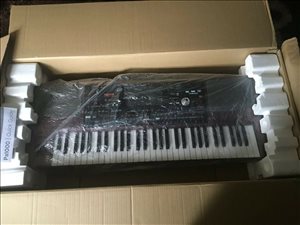 Korg Pa1000 61-Key Professiona 
