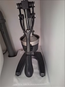 מסחטת פרי הדר 