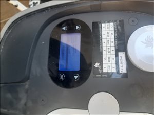 תמי 4 פרימו 