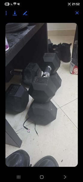 מישקול דמבל זוג 