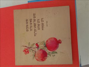 תכולת דירה שונות 30 
