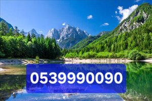 שונות שונות 15 