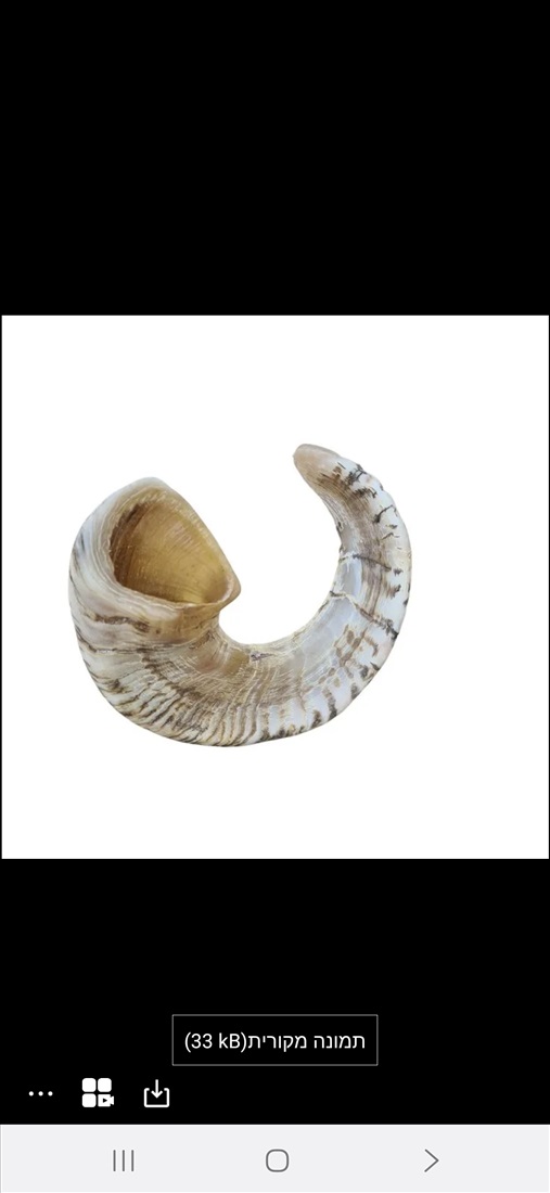 תמונה 2 ,שופרות  למכירה בהדר יוסף שונות  שונות