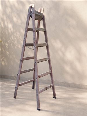 לבית סולמות 10 