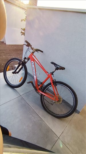 Specialized  