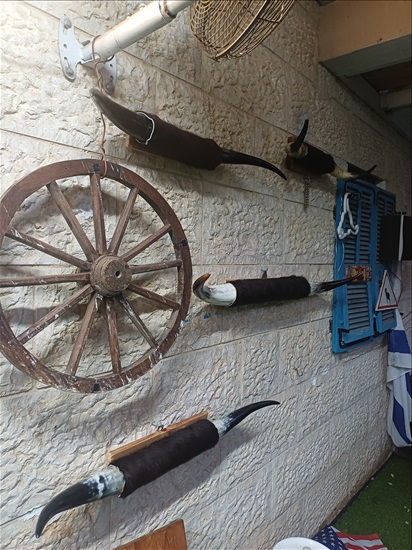 תמונה 3 ,מכירת חצר למכירה ברמלה אומנות  פוחלצים
