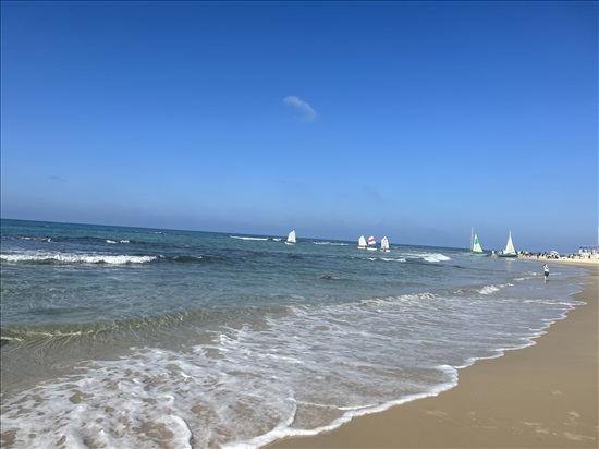 תמונה 1 ,עיסוי  למכירה בבת ים  אלטרנטיבי  אחר