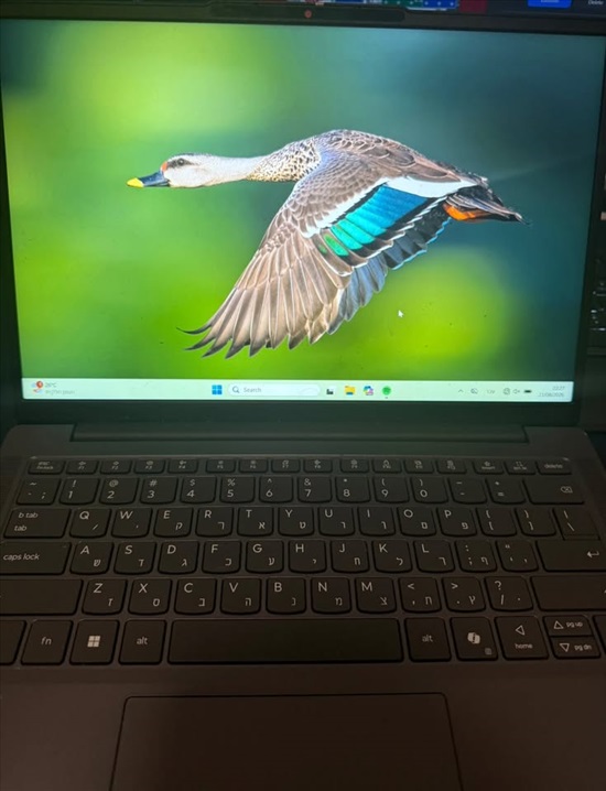 תמונה 1 ,LENOVO V14 G5 למכירה בהוד השרון מחשבים וציוד נלווה  מחשב נייד