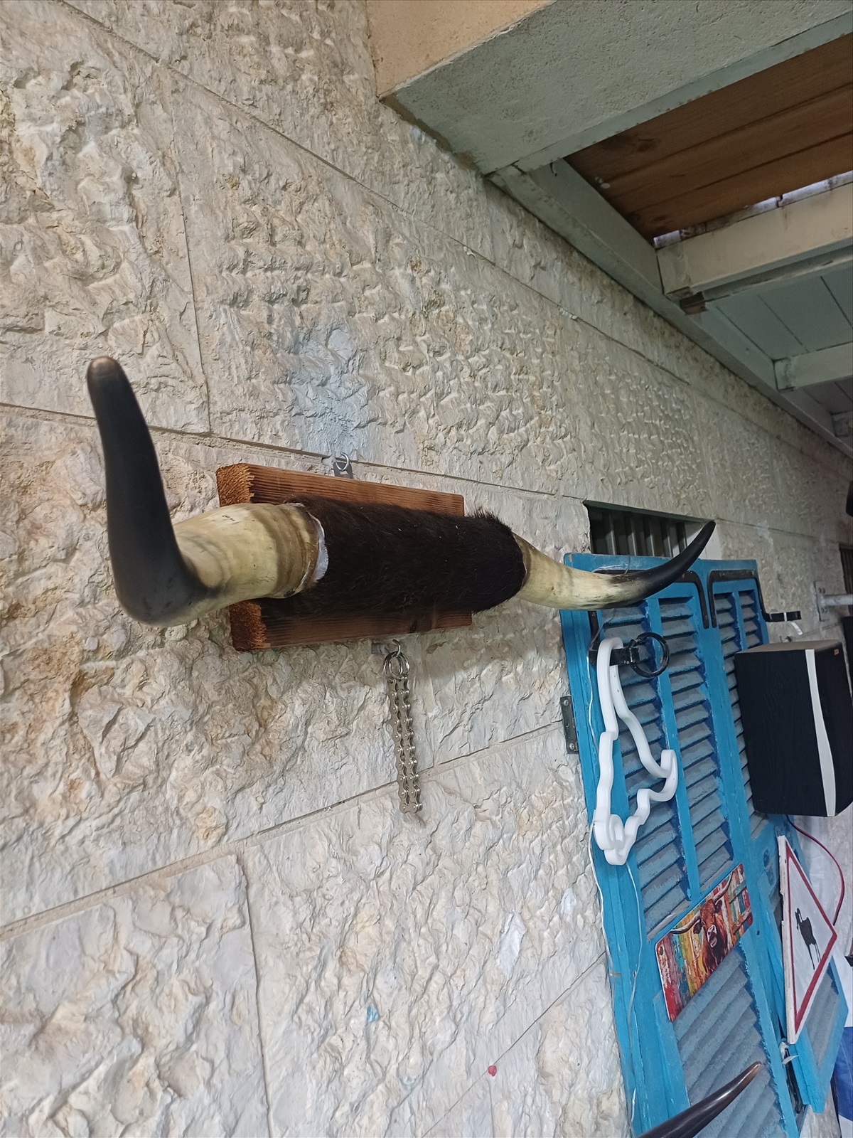 תמונה 4, מכירת חצר למכירה ברמלה | אומנות  פוחלצים
