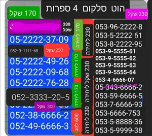 מספרי זהב  