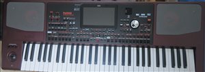 אורגן KORG PA 1000 