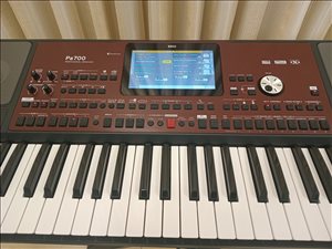 אורגן pa700 