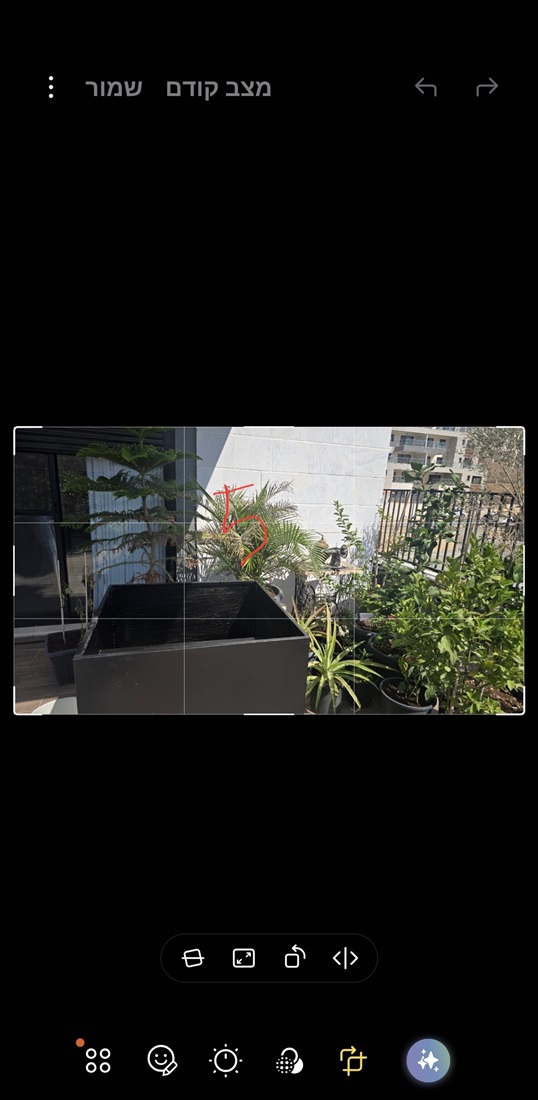 תמונה 1 ,אדנית למכירה בבית אריה לגינה  עצים ועציצים