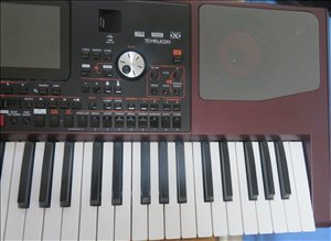 תמונה 1 ,אורגן KORG PA 1000 למכירה בביתר עילית כלי נגינה  קלידים