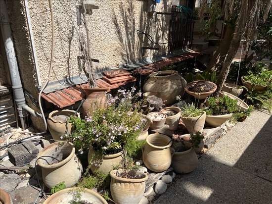 תמונה 5 ,כלי חרס וקרמיקה לצמחים למכירה בחיפה לגינה  שונות