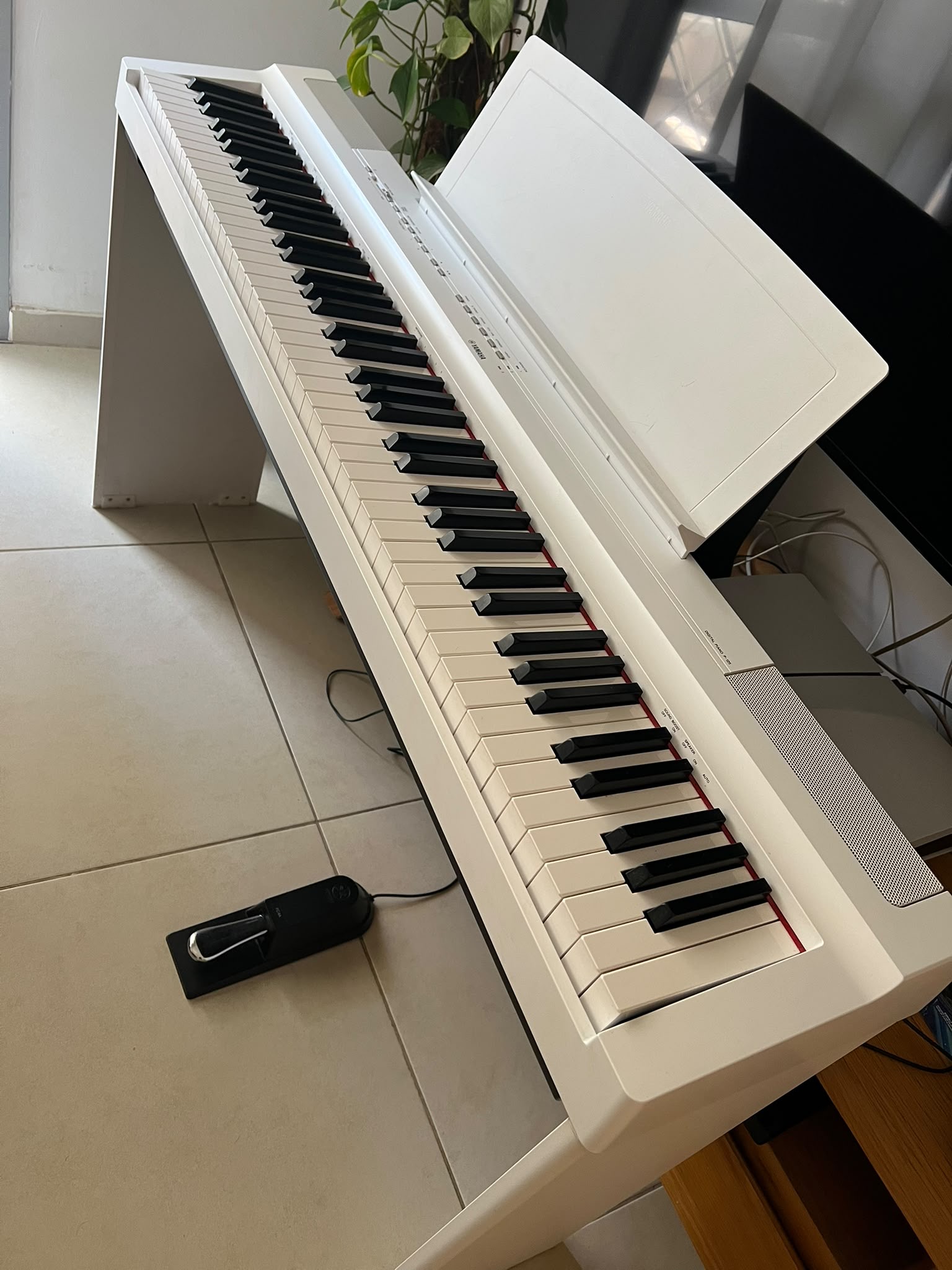 תמונה 1, פסנתר חשמלי YAMAHA דגם p-125 למכירה במודיעין-מכבים-רעות | כלי נגינה  פסנתר