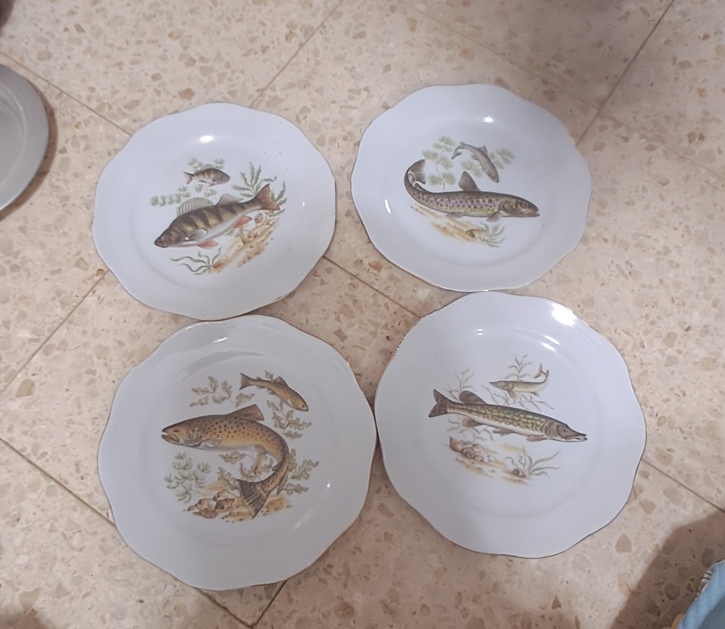 תמונה 1, כלי מטבח  למכירה בRamlelod | כלי מטבח  שונות