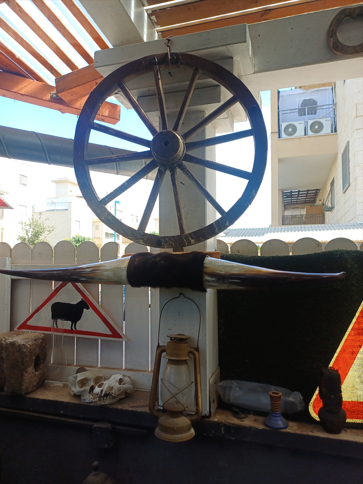 תמונה 3,  מצמצם את האוסף למכירה: קרניים למכירה ברמלה | אומנות  פוחלצים