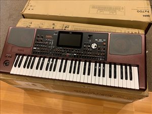 Korg Pa1000 61-Key Pro 