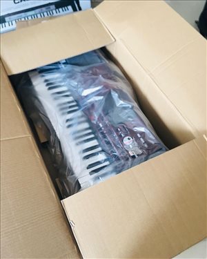 Korg Pa700 ORIENTAL 61-Key 