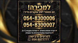 מספר  זהב 