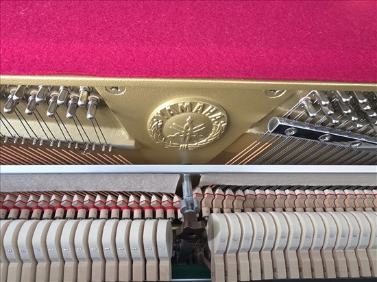 תמונה 5 ,פסנתר אקוסטי ימאהה Yamaha b2 למכירה בקרית גת כלי נגינה  פסנתר