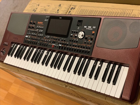 תמונה 3 ,Korg Pa1000 61-Key Pro למכירה ב2595 כלי נגינה  קלידים