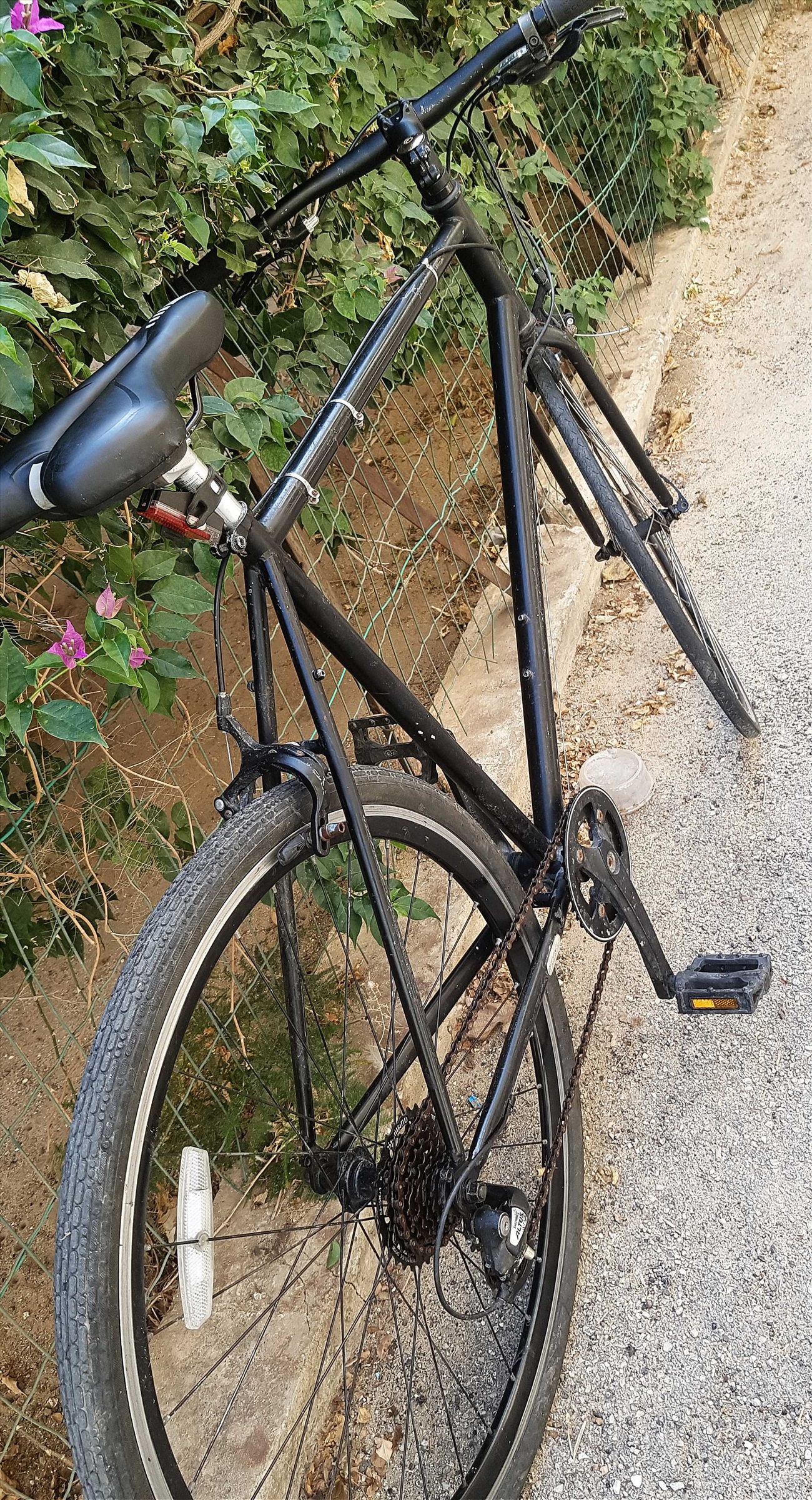 תמונה 4, DEL SOL אופני כביש למכירה בנתניה | אופניים אופני כביש